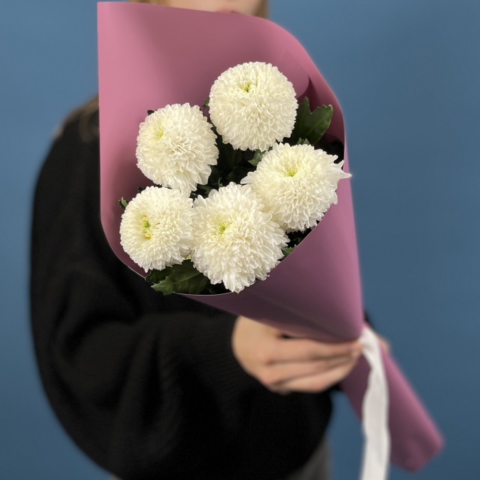 5 белых хризантем помпон