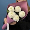 5 белых хризантем Помпон
