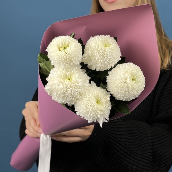 5 белых хризантем помпон