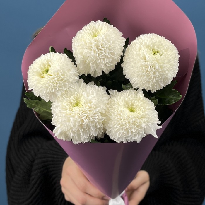 5 белых хризантем помпон