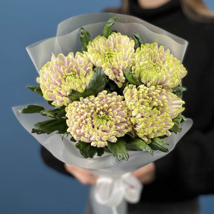 5 сиренево-зеленых хризантем Зембла