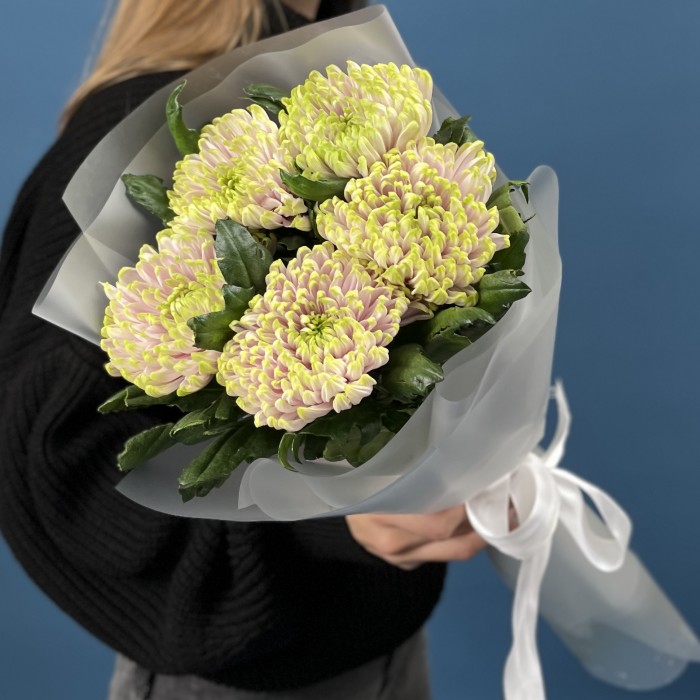 5 сиренево-зеленых хризантем Зембла