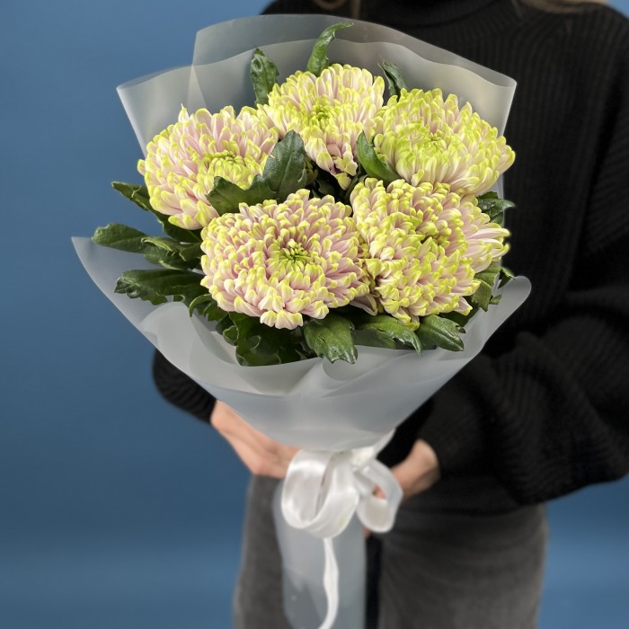 5 сиренево-зеленых хризантем Зембла