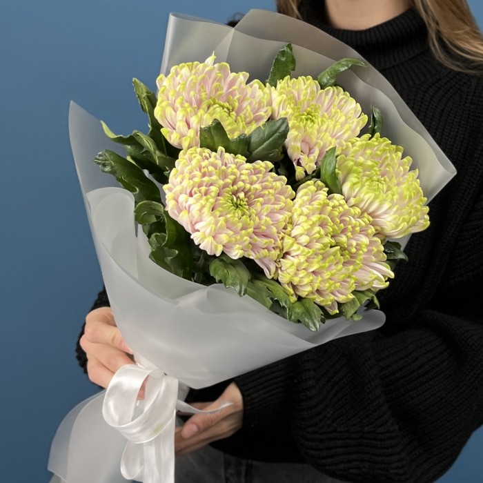 5 сиренево-зеленых хризантем Зембла