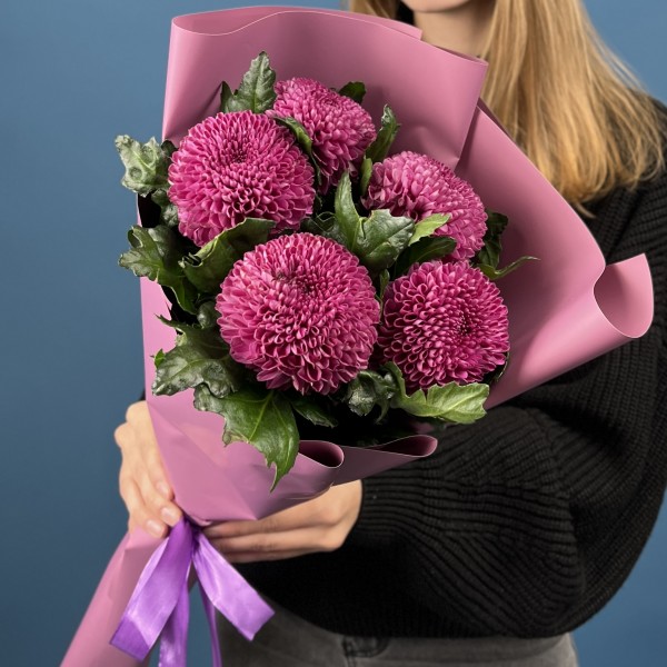 5 сиреневых хризантем помпон Фабьен