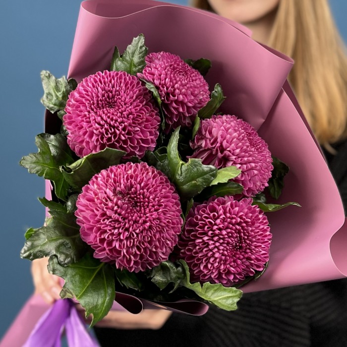 5 сиреневых хризантем помпон Фабьен