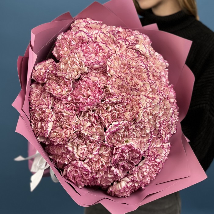 51 бело-сиреневая гвоздика