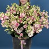 51 пышная бело-розовая эустома