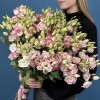 51 пышная бело-розовая эустома