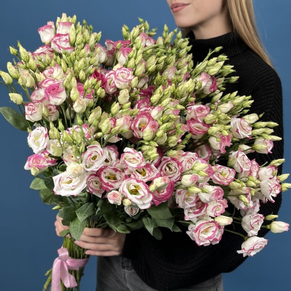 51 пышная бело-розовая эустома