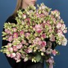 51 пышная бело-розовая эустома