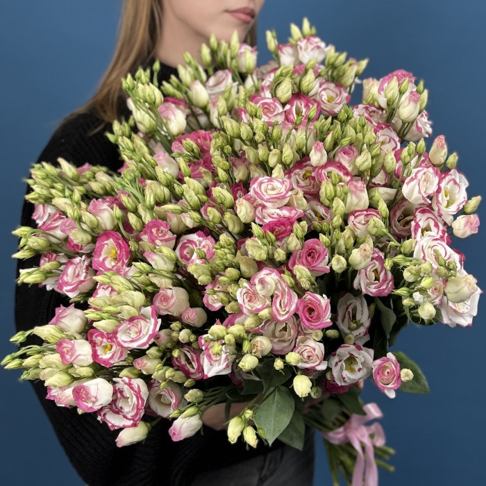 51 пышная бело-розовая эустома