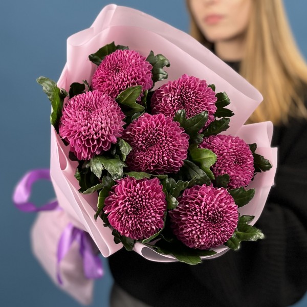 7 сиреневых хризантем помпон Фабьен