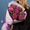7 сиреневых хризантем Помпон Фабьен