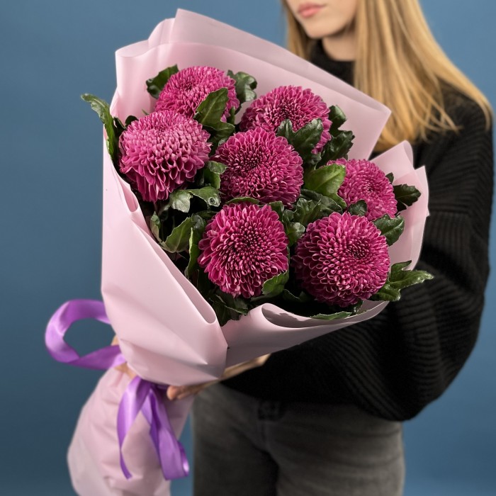 7 сиреневых хризантем помпон Фабьен