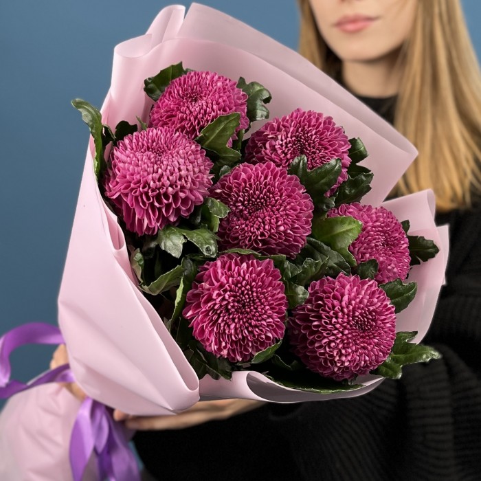 7 сиреневых хризантем помпон Фабьен