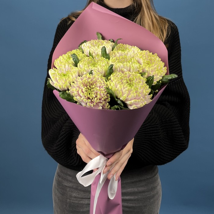 9 сиренево-зеленых хризантем Зембла