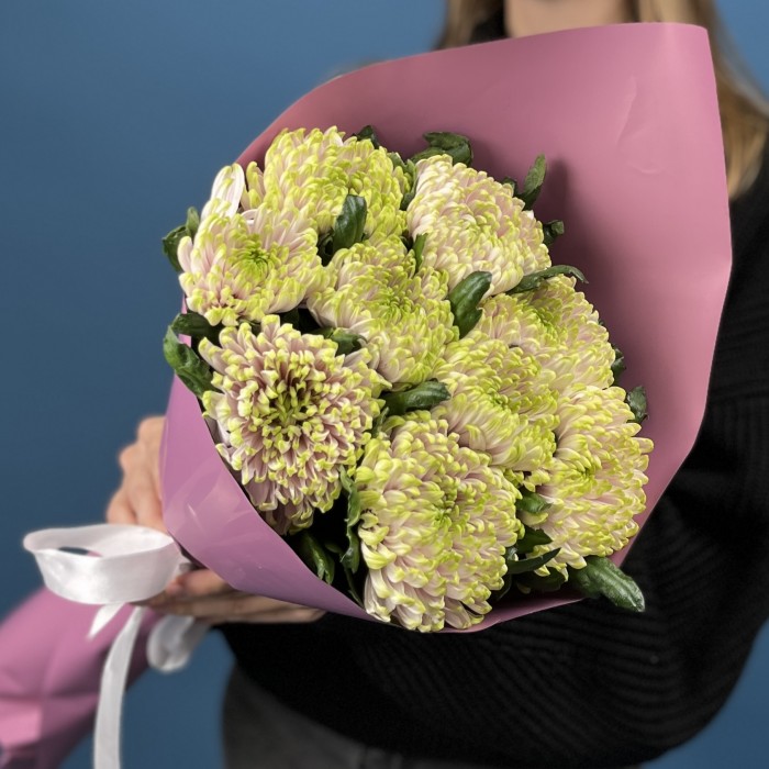 9 сиренево-зеленых хризантем Зембла