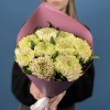 9 сиренево-зеленых хризантем Зембла