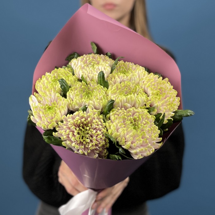 9 сиренево-зеленых хризантем Зембла