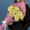 9 сиренево-зеленых хризантем Зембла