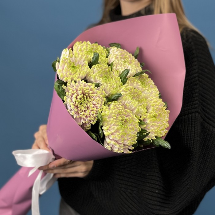 9 сиренево-зеленых хризантем Зембла