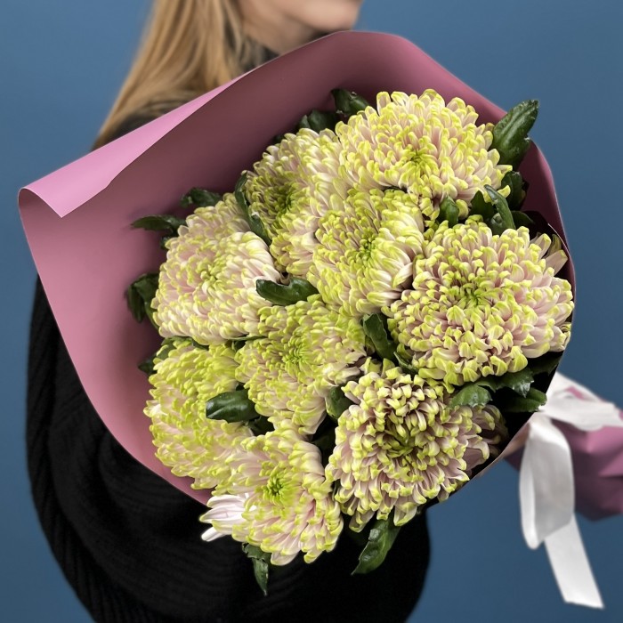 9 сиренево-зеленых хризантем Зембла
