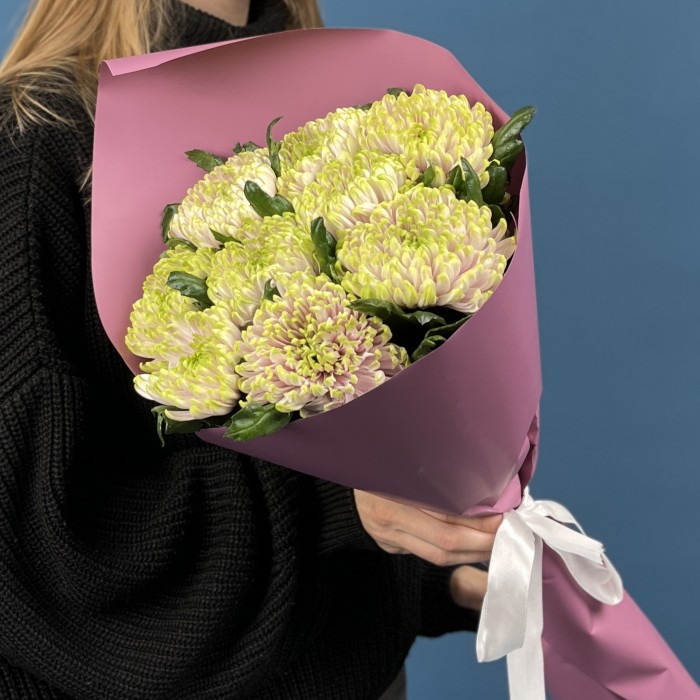 9 сиренево-зеленых хризантем Зембла