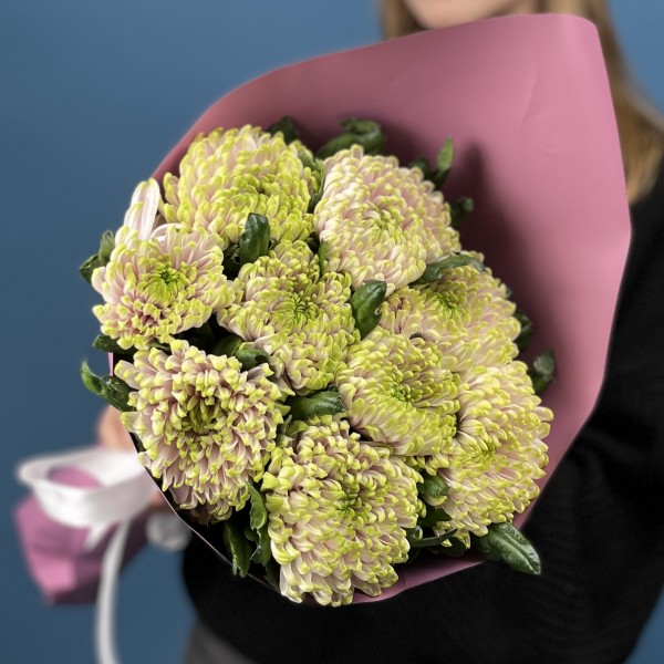 9 сиренево-зеленых хризантем Зембла