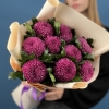 9 сиреневых хризантем помпон Фабьен