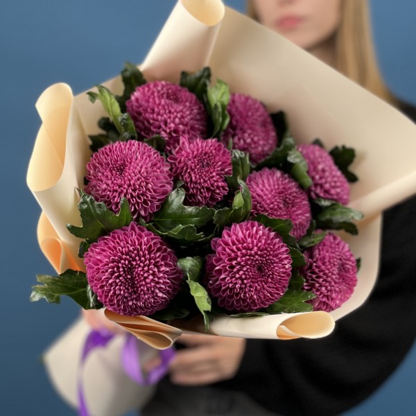 9 сиреневых хризантем помпон Фабьен