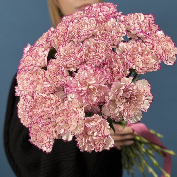 Гвоздика белая с фиолетовой каймой