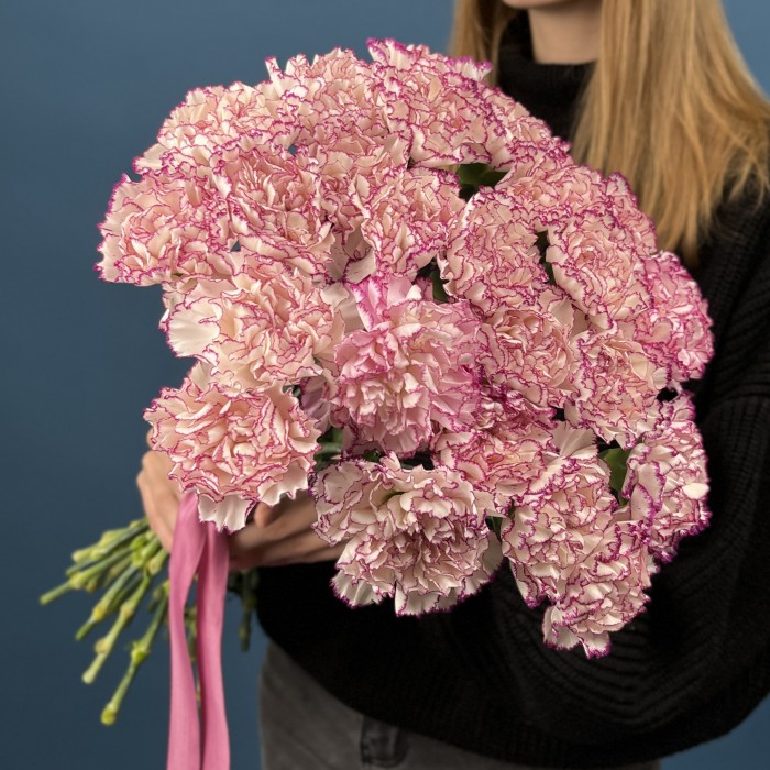 Гвоздика белая с фиолетовой каймой