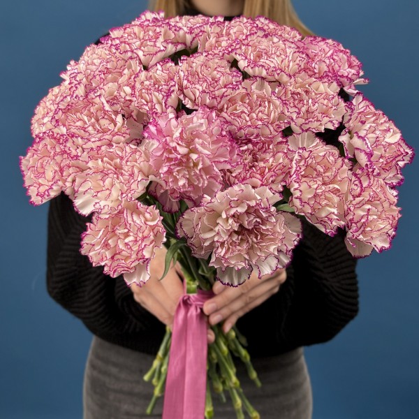 Гвоздика белая с фиолетовой каймой