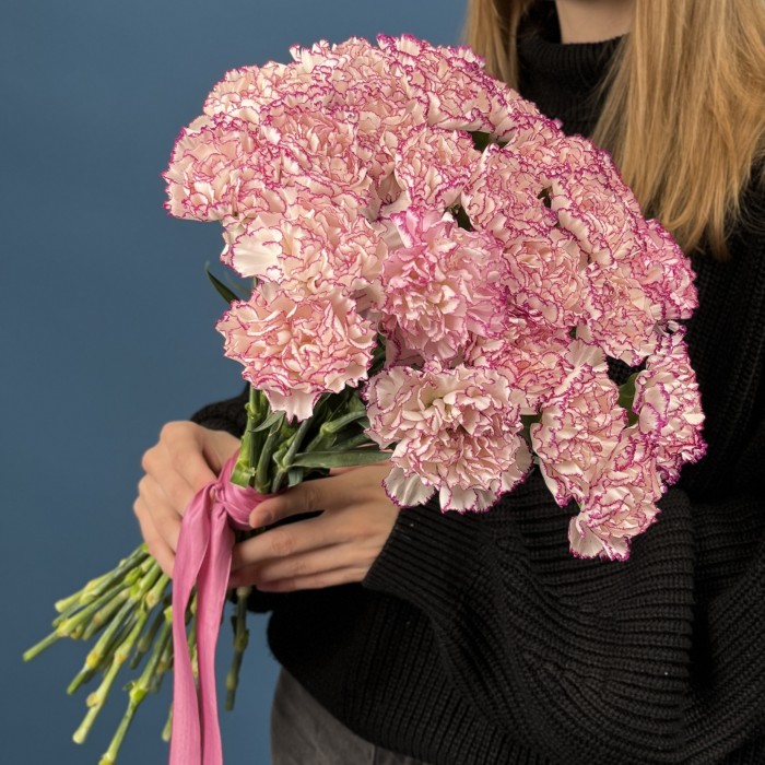 Гвоздика белая с фиолетовой каймой