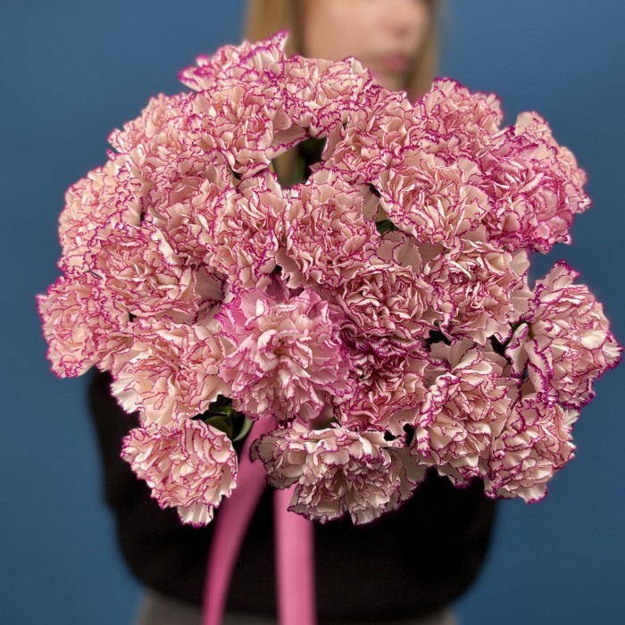 Гвоздика белая с фиолетовой каймой