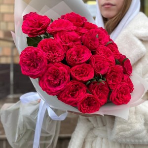 11 красных кустовых пионовидных роз Ред Пиано 70 см