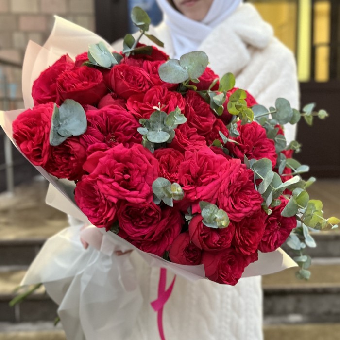 15 красных кустовых пионовидных роз Ред Пиано 40 см с эвкалиптом