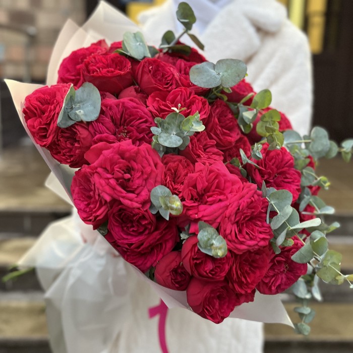 15 красных кустовых пионовидных роз Ред Пиано 40 см с эвкалиптом