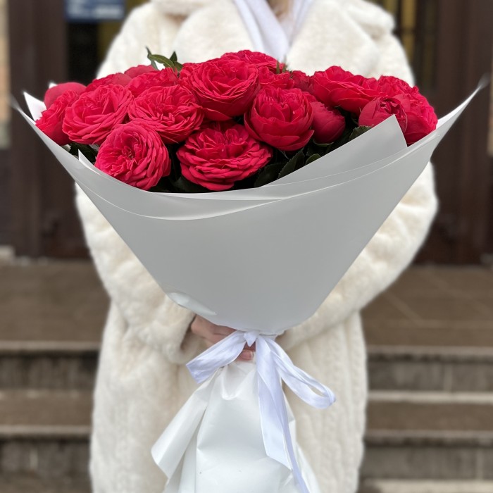 15 красных кустовых пионовидных роз Ред Пиано 40 см
