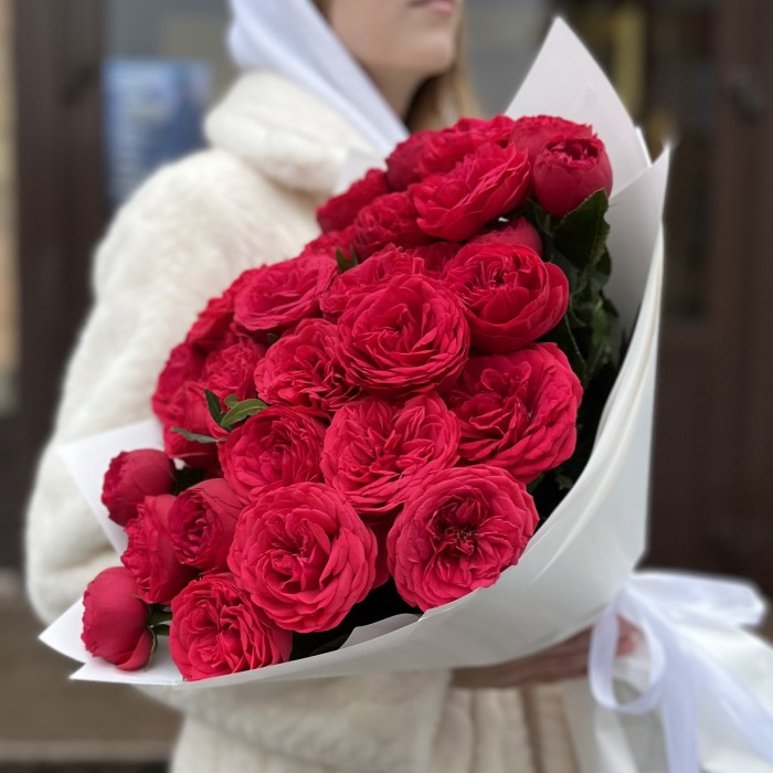 15 красных кустовых пионовидных роз Ред Пиано 40 см