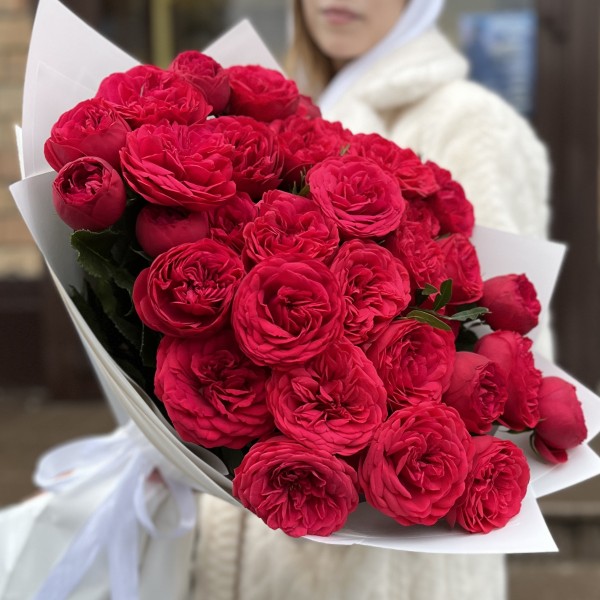 15 красных кустовых пионовидных роз Ред Пиано 40 см