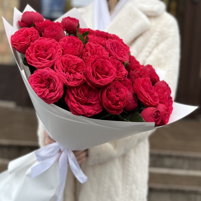 15 красных кустовых пионовидных роз Ред Пиано 40 см