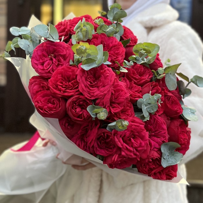 15 красных кустовых пионовидных роз Ред Пиано 60 см с эвкалиптом