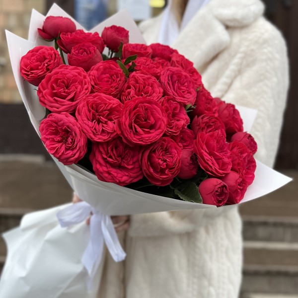 15 красных кустовых пионовидных роз Ред Пиано 60 см