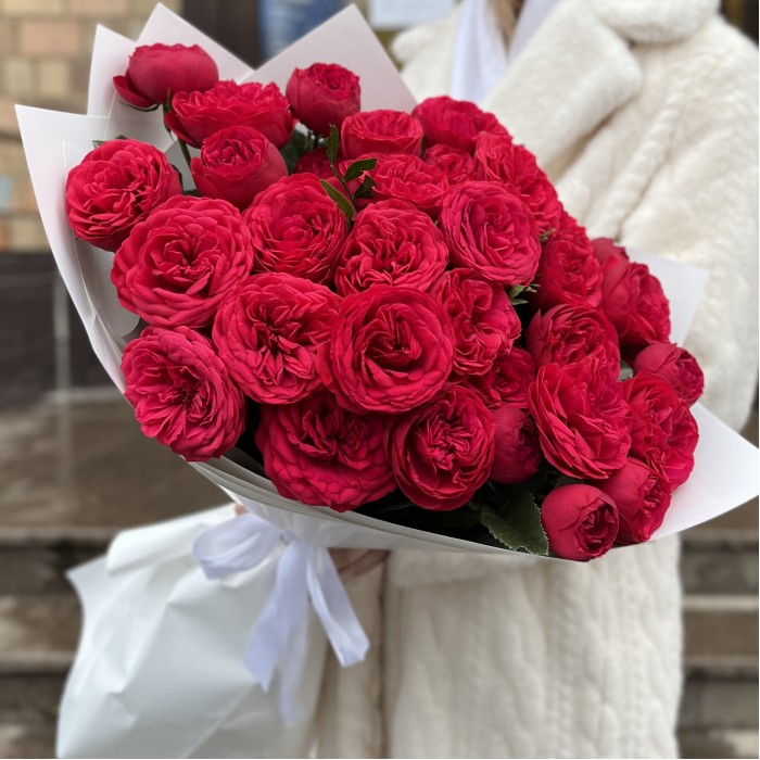 15 красных кустовых пионовидных роз Ред Пиано 60 см