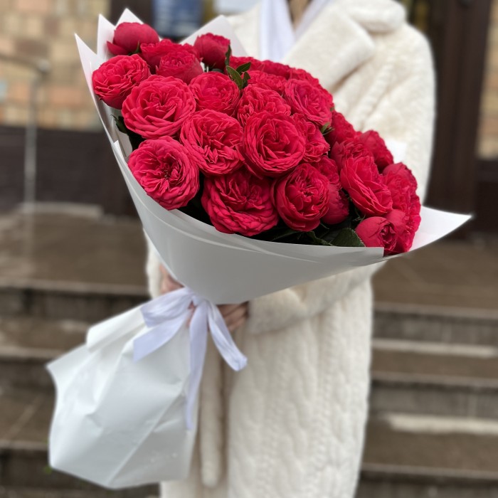 15 красных кустовых пионовидных роз Ред Пиано 70 см