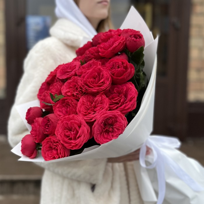 15 красных кустовых пионовидных роз Ред Пиано 70 см