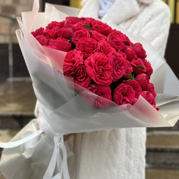 25 красных пионовидных кустовых роз Ред Пиано 60 см