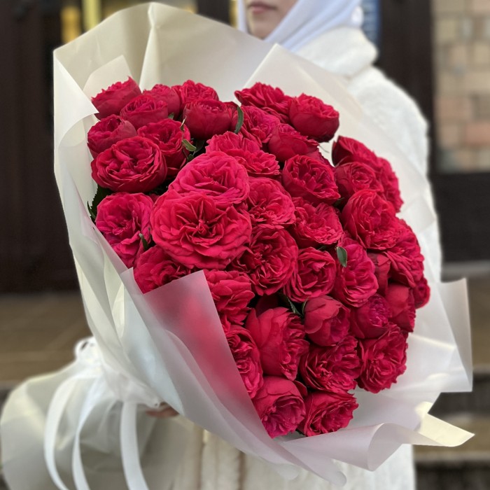 25 красных пионовидных кустовых роз Ред Пиано 60 см
